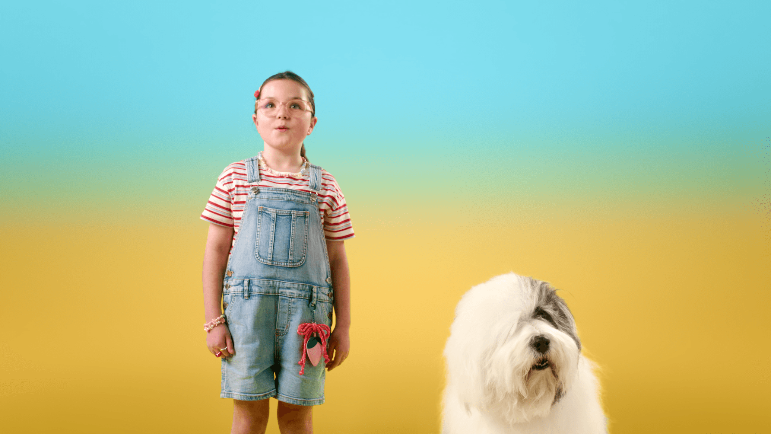 Dulux, still 2